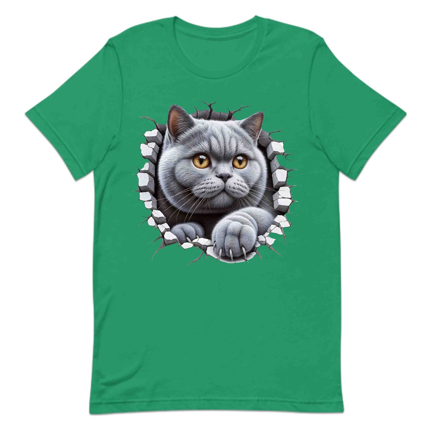 British Shorthair Cat Breaking Through Wall 3D Realistic Cat | PRODUCT CODE: BRTSHCAKNGWA
