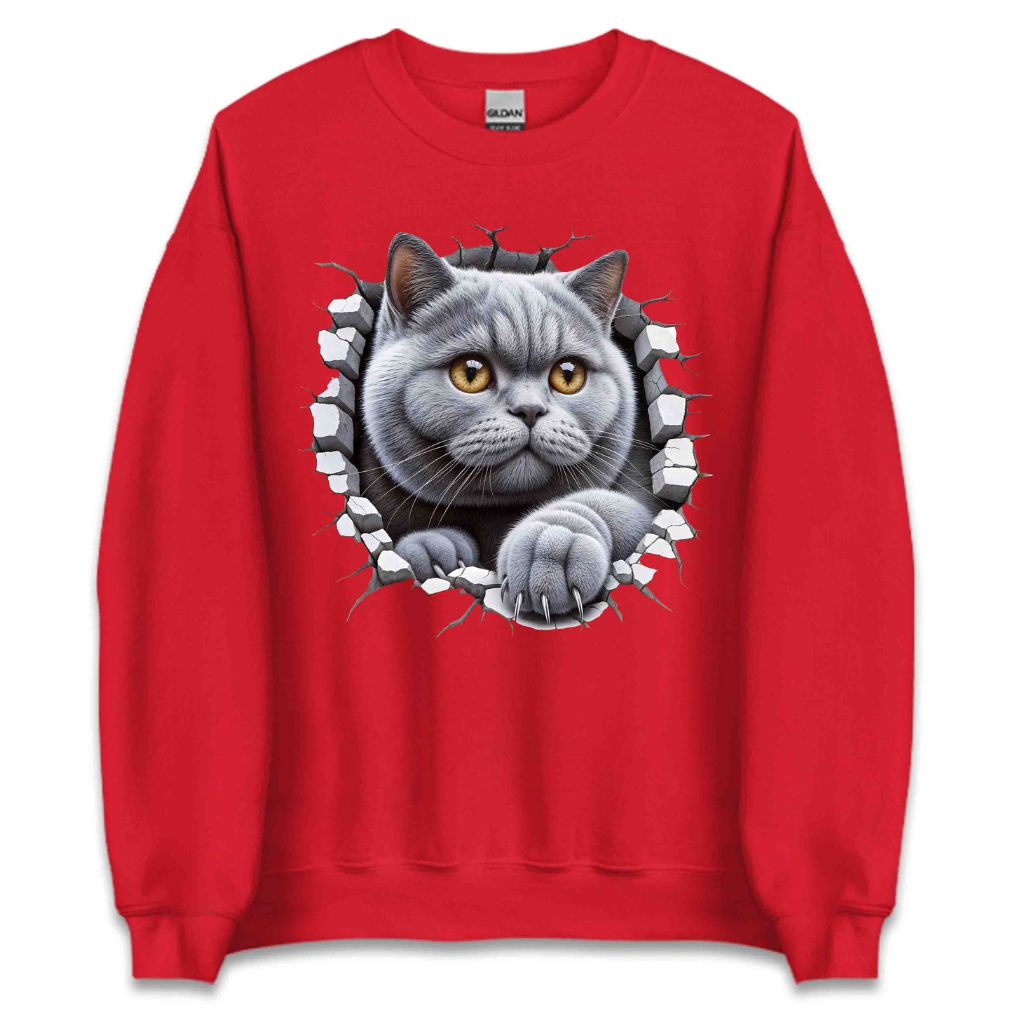 British Shorthair Cat Breaking Through Wall 3D Realistic Cat | PRODUCT CODE: BRTSHCAKNGWA