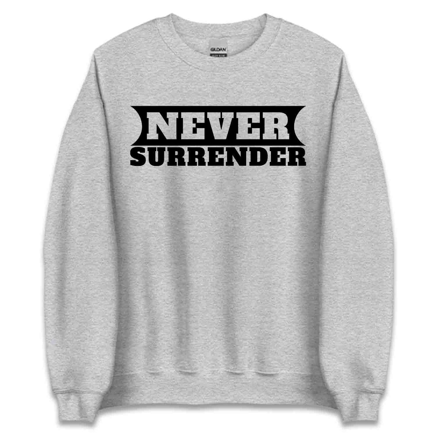 Charlie Kirk Quote T-Shirt, MAGA Sweatshirt, Political Awareness Hoodie | PRODUCT CODE: CHJERWBNS