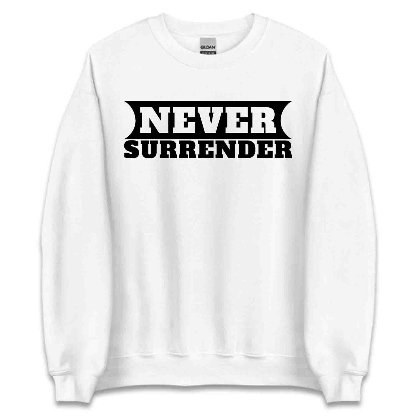 Charlie Kirk Quote T-Shirt, MAGA Sweatshirt, Political Awareness Hoodie | PRODUCT CODE: CHJERWBNS