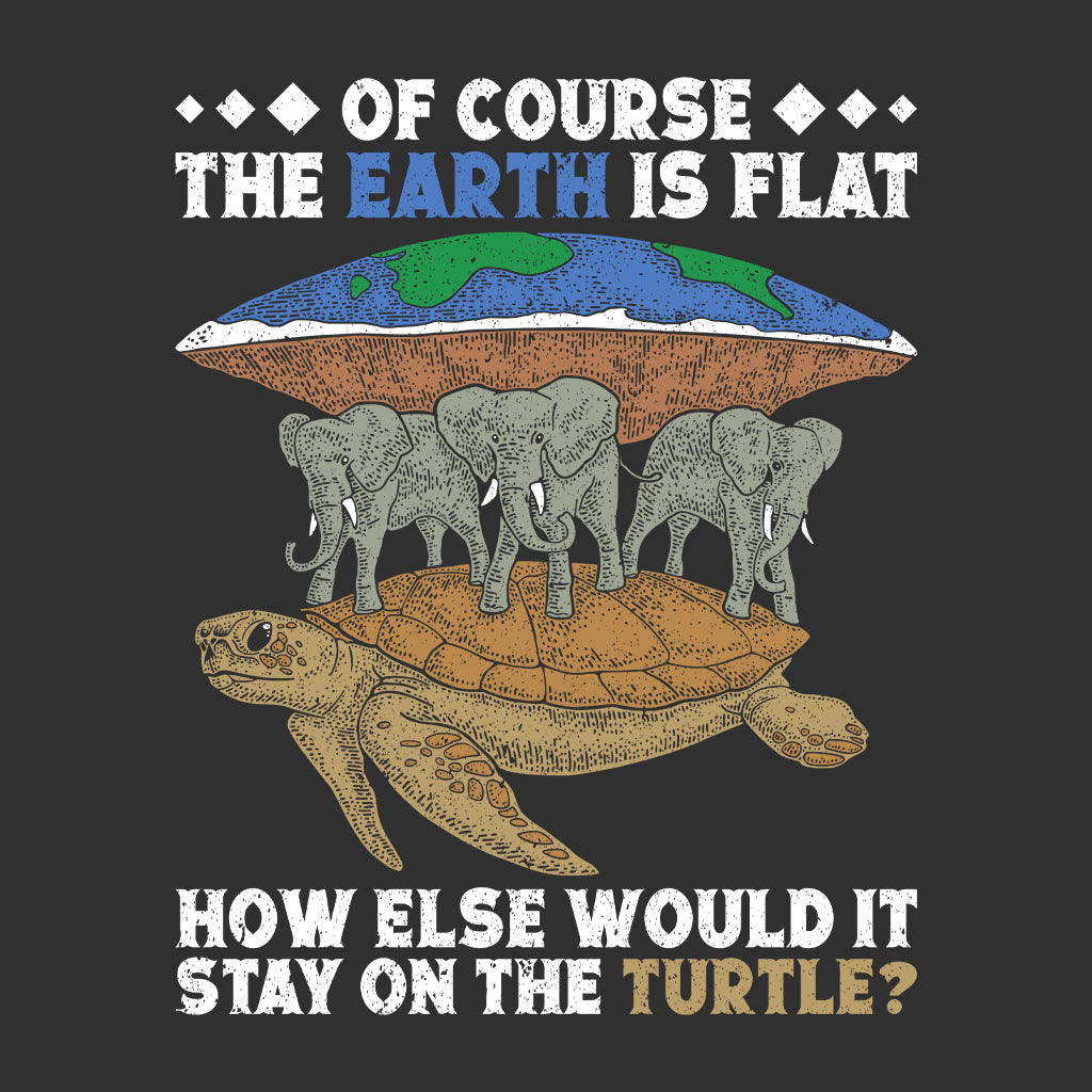 Flat Earth Turtle Conspiracy Theory | PRODUCT CODE: FTERHRLHRO