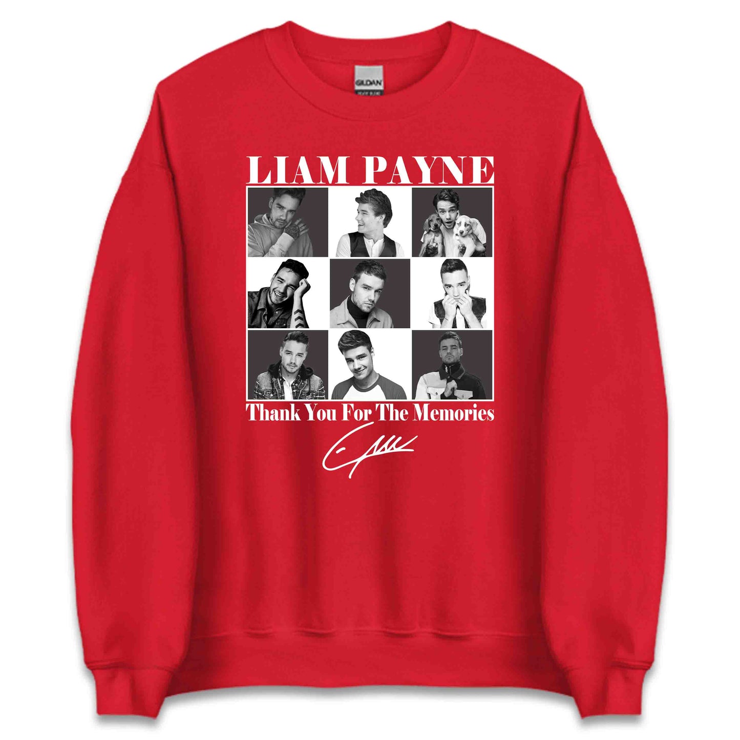 RIP Liam Payne Tribute Thank You For The Memories | PRODUCT CODE: LTHNKSNGRPYNC