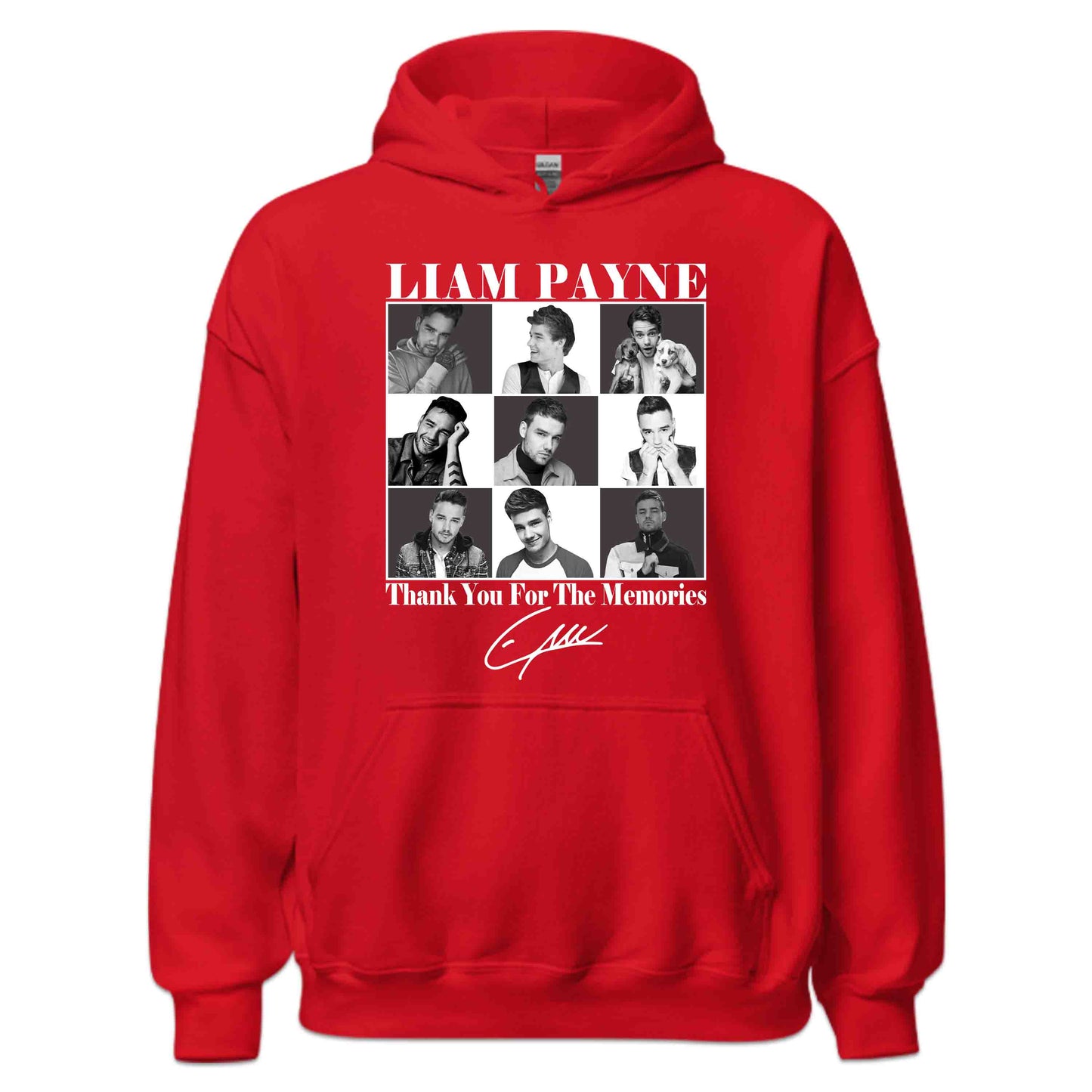 RIP Liam Payne Tribute Thank You For The Memories | PRODUCT CODE: LTHNKSNGRPYNC