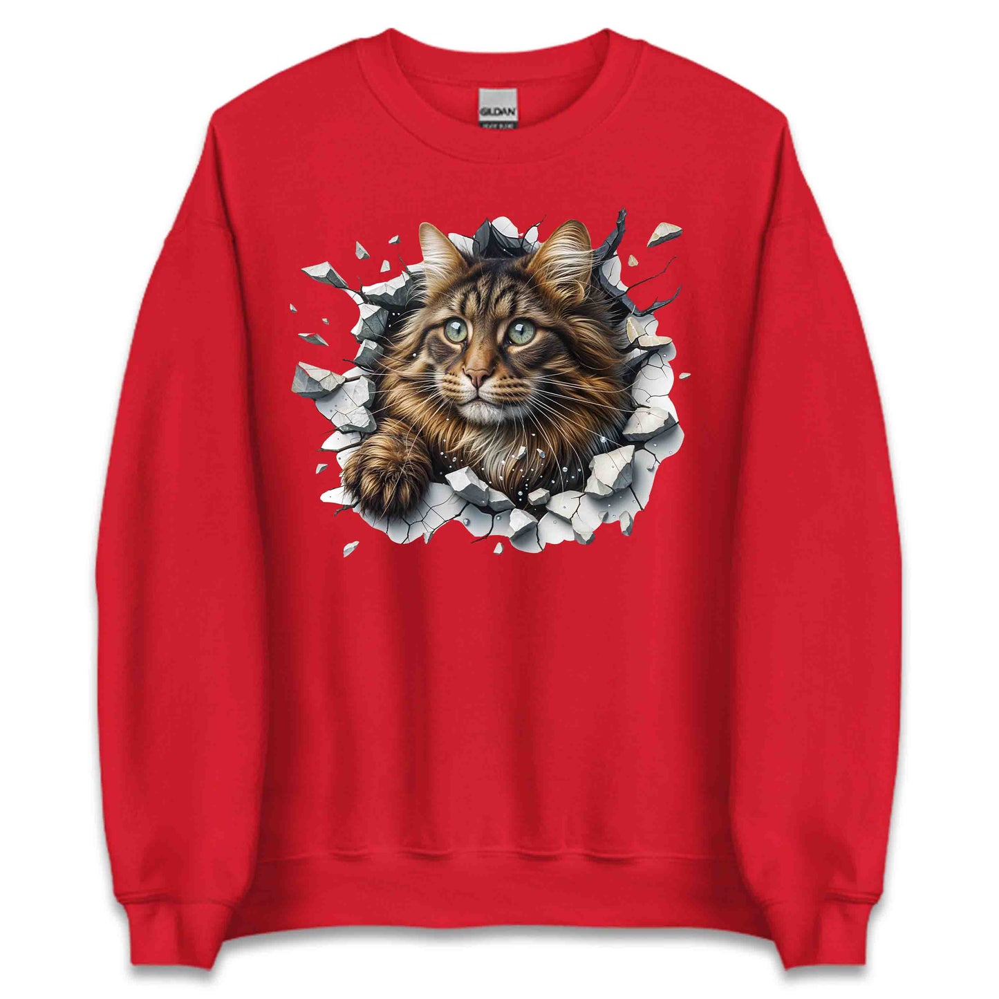 Maine Coon Cat Breaking Through Wall 3D Realistic Cat | PRODUCT CODE: MNCNOTABRKWL
