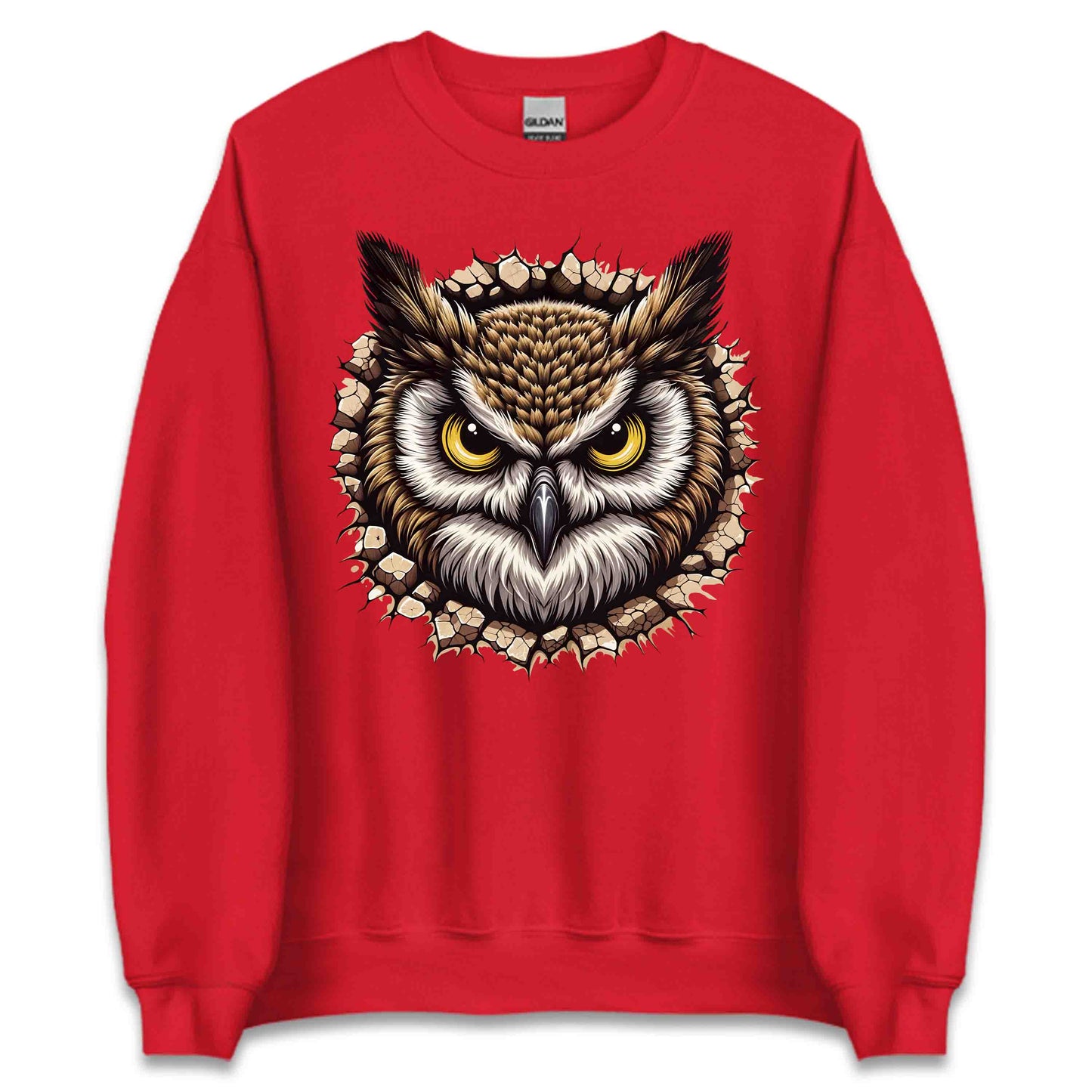 Owl Breaking Through Wall 3D Realistic Owl Nature Enthusiasts | PRODUCT CODE: OLWBRKNLANTUE