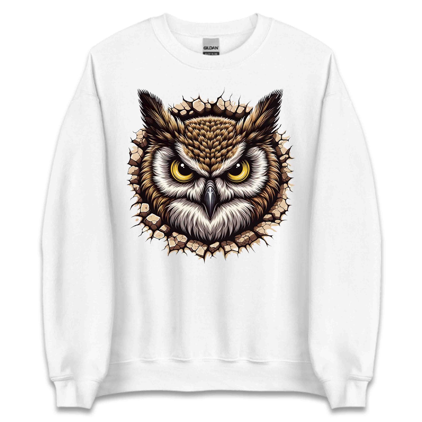 Owl Breaking Through Wall 3D Realistic Owl Nature Enthusiasts | PRODUCT CODE: OLWBRKNLANTUE