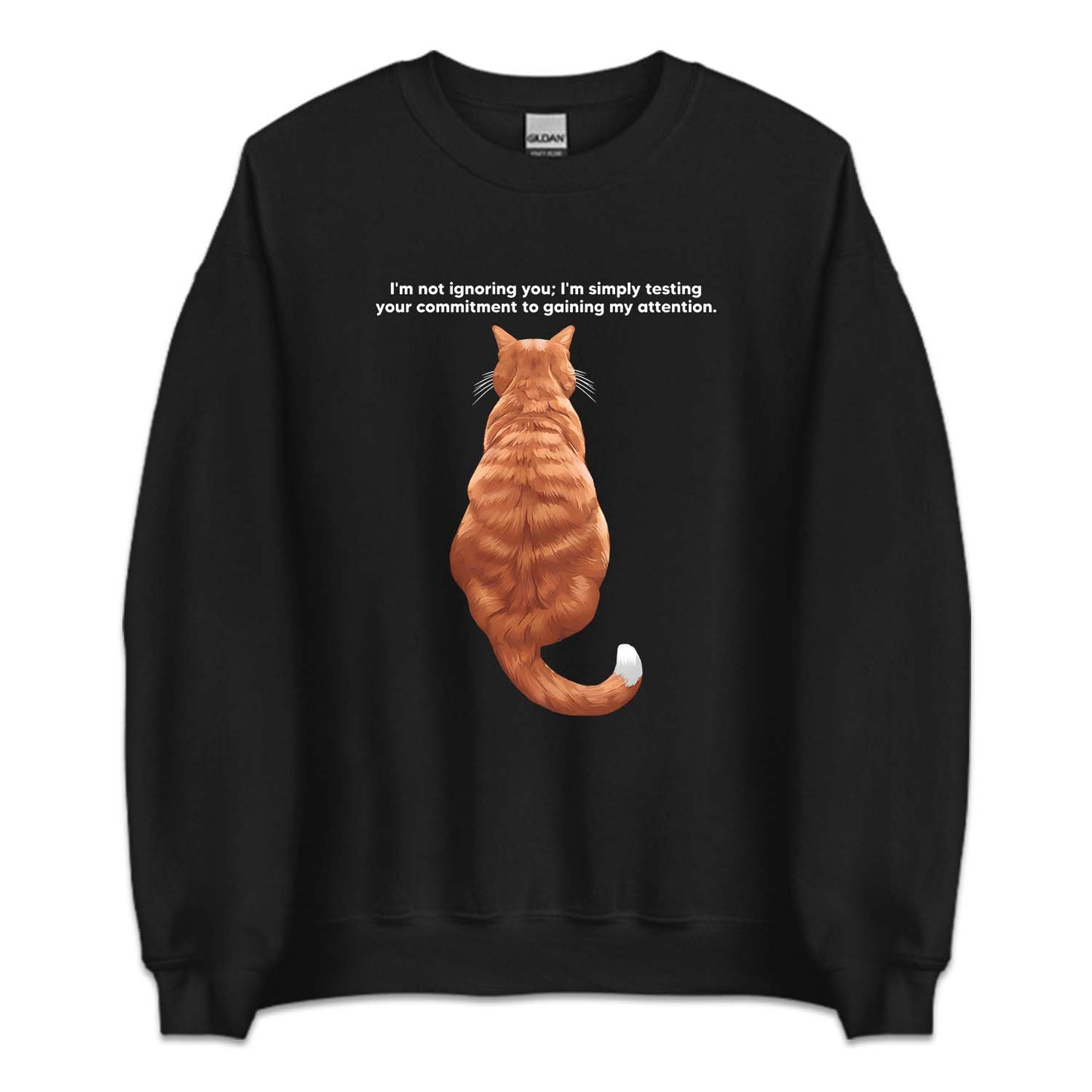 Ginger Cat Sitting Attention Test | PRODUCT CODE: GNCTSANQ