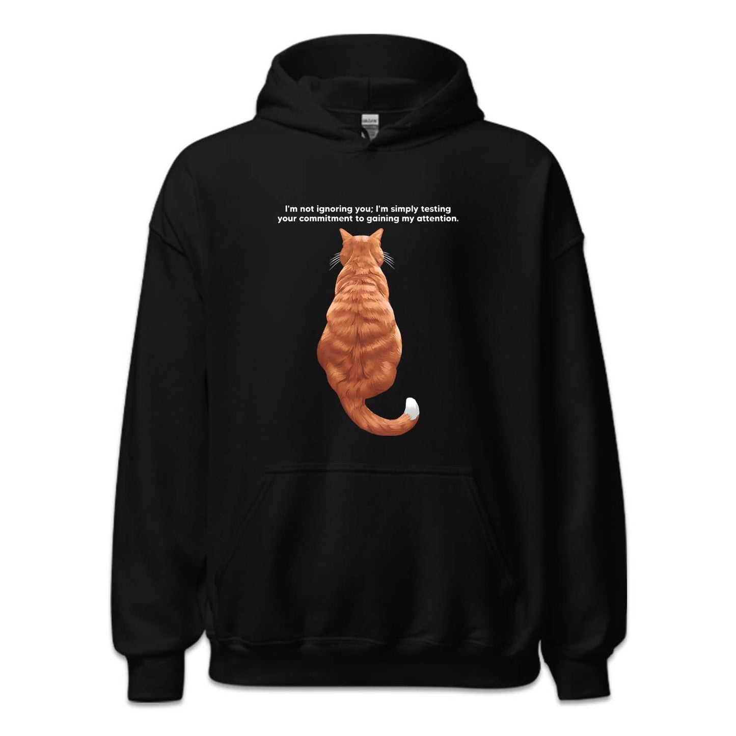 Ginger Cat Sitting Attention Test | PRODUCT CODE: GNCTSANQ