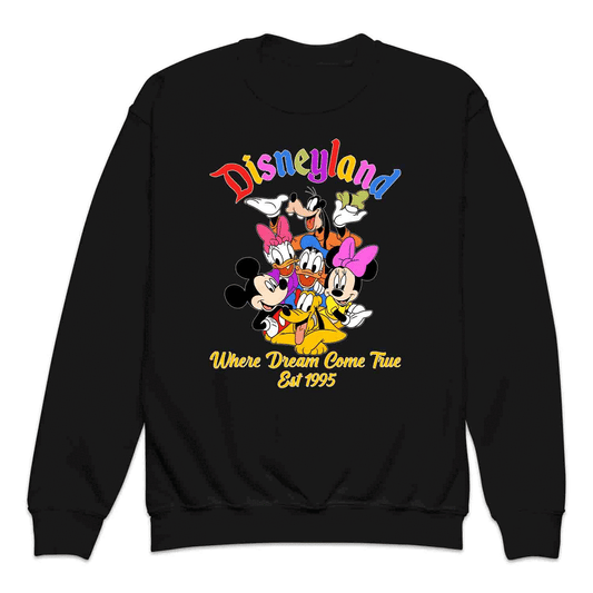 Disneyland 1995 Kids T-Shirt | Mickey & Friends Kids Jumper | Disney Cartoons Kids Hoodie | PRODUCT CODE: DSNTMGNTFV