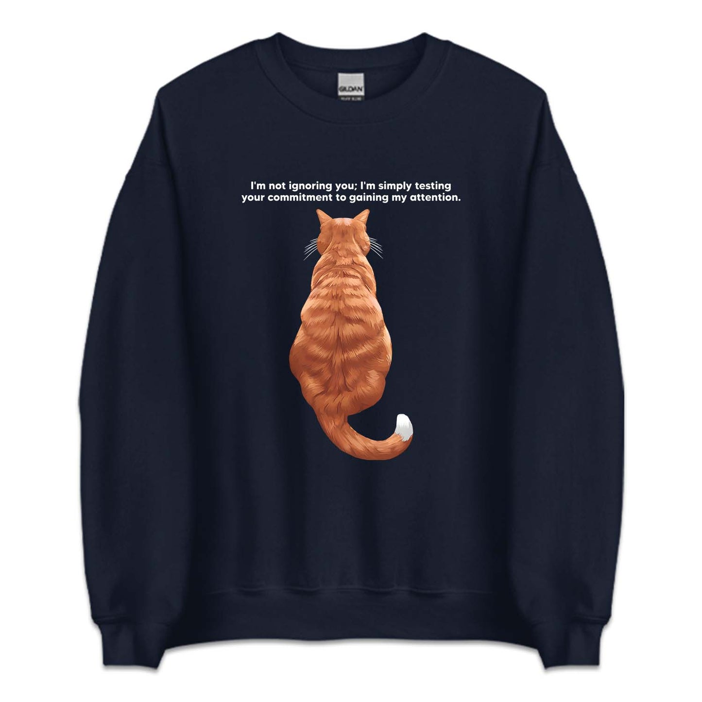 Ginger Cat Sitting Attention Test | PRODUCT CODE: GNCTSANQ