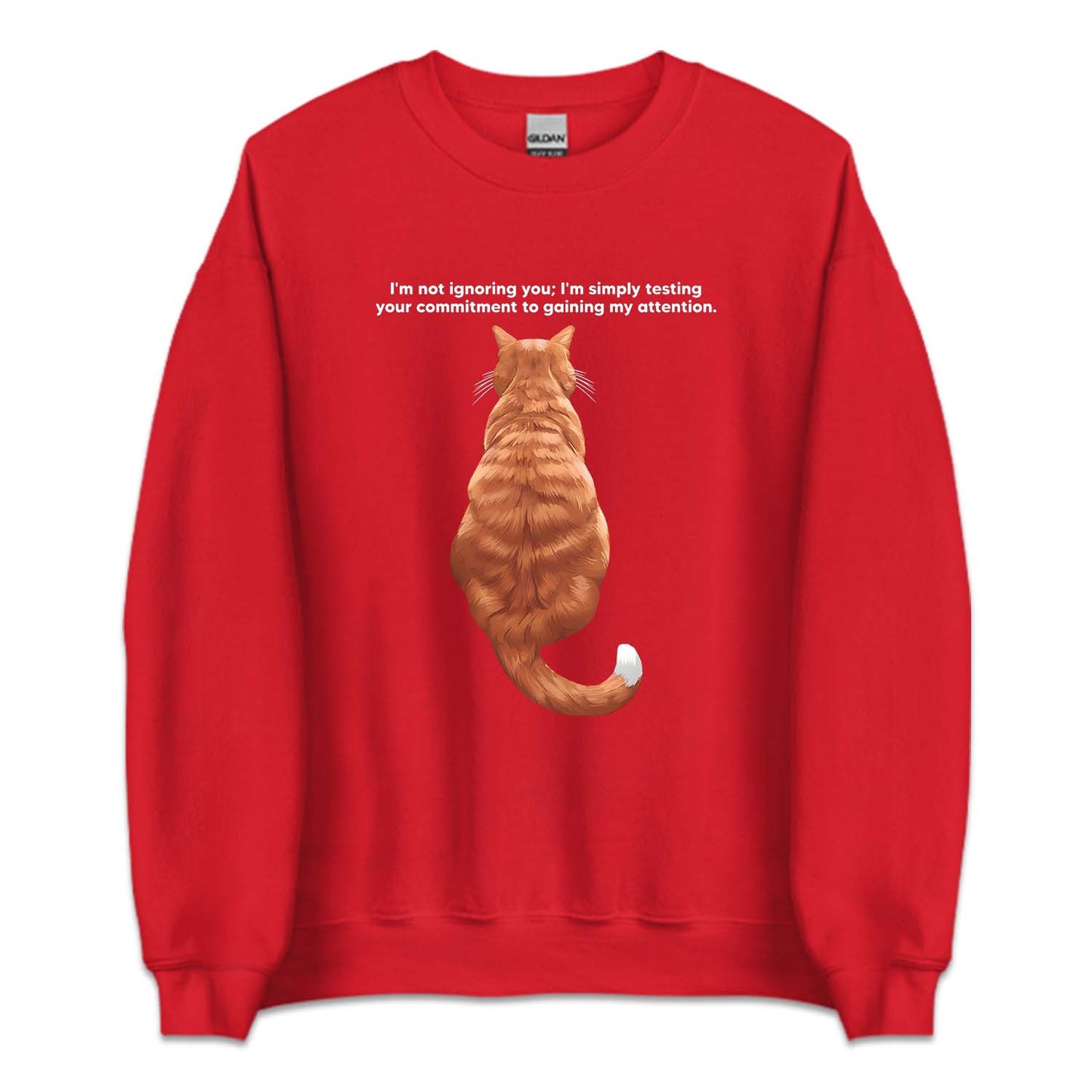 Ginger Cat Sitting Attention Test | PRODUCT CODE: GNCTSANQ