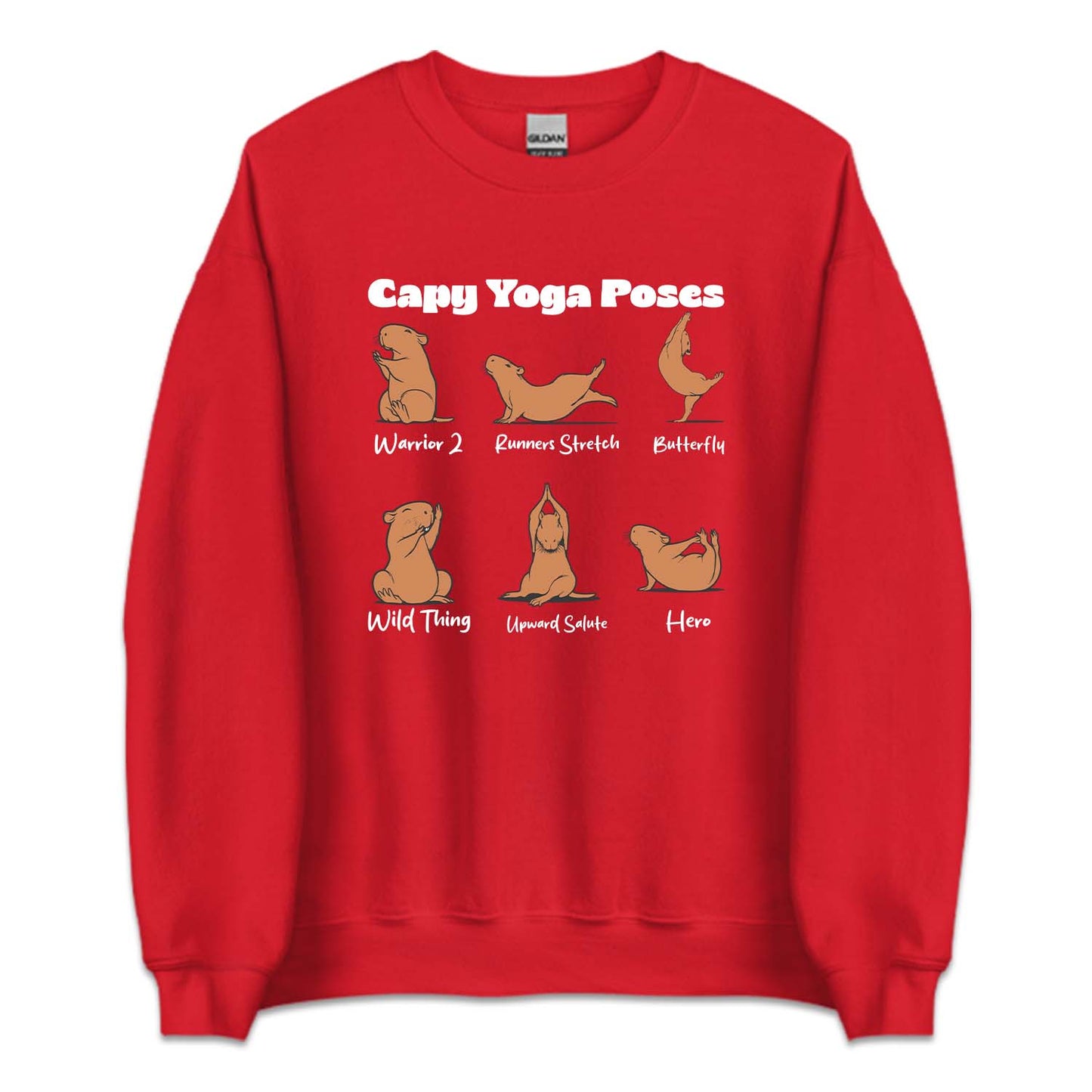Cute Capybara Yoga Poses | PRODUCT CODE: YGCPYSOBR