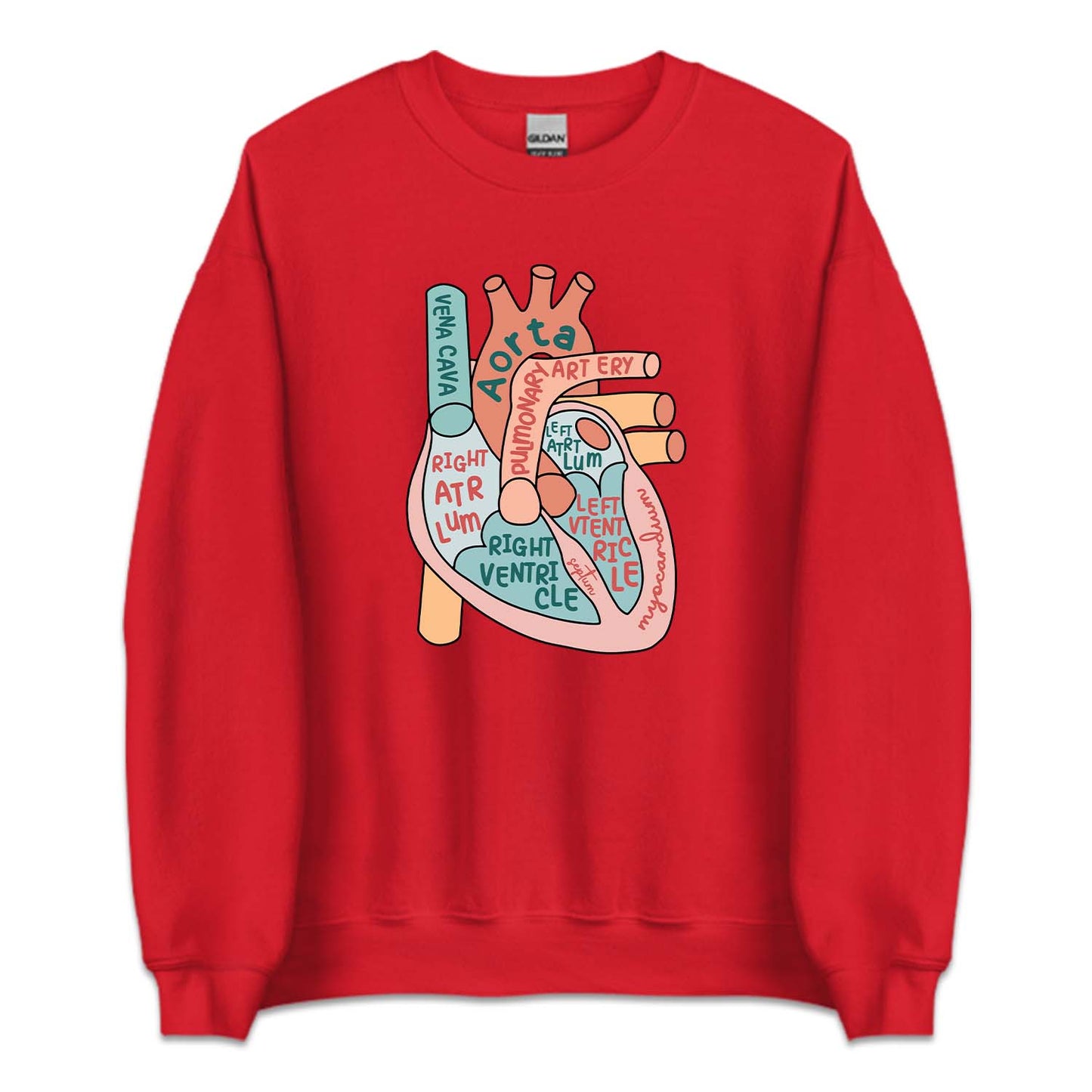 CVICU Cardiac Nurse Heart Flow Anatomy Cardiology Sonographer | PRODUCT CODE: HRTFLWANTY