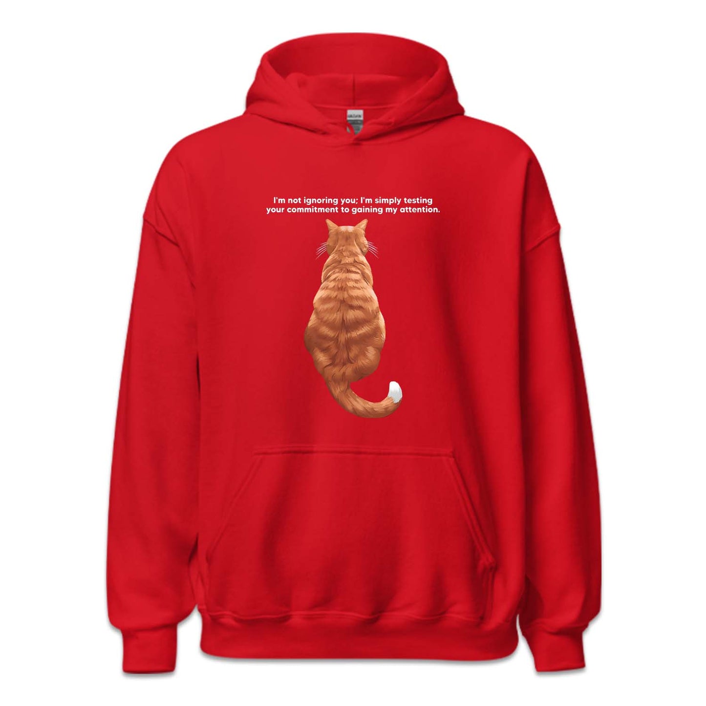 Ginger Cat Sitting Attention Test | PRODUCT CODE: GNCTSANQ