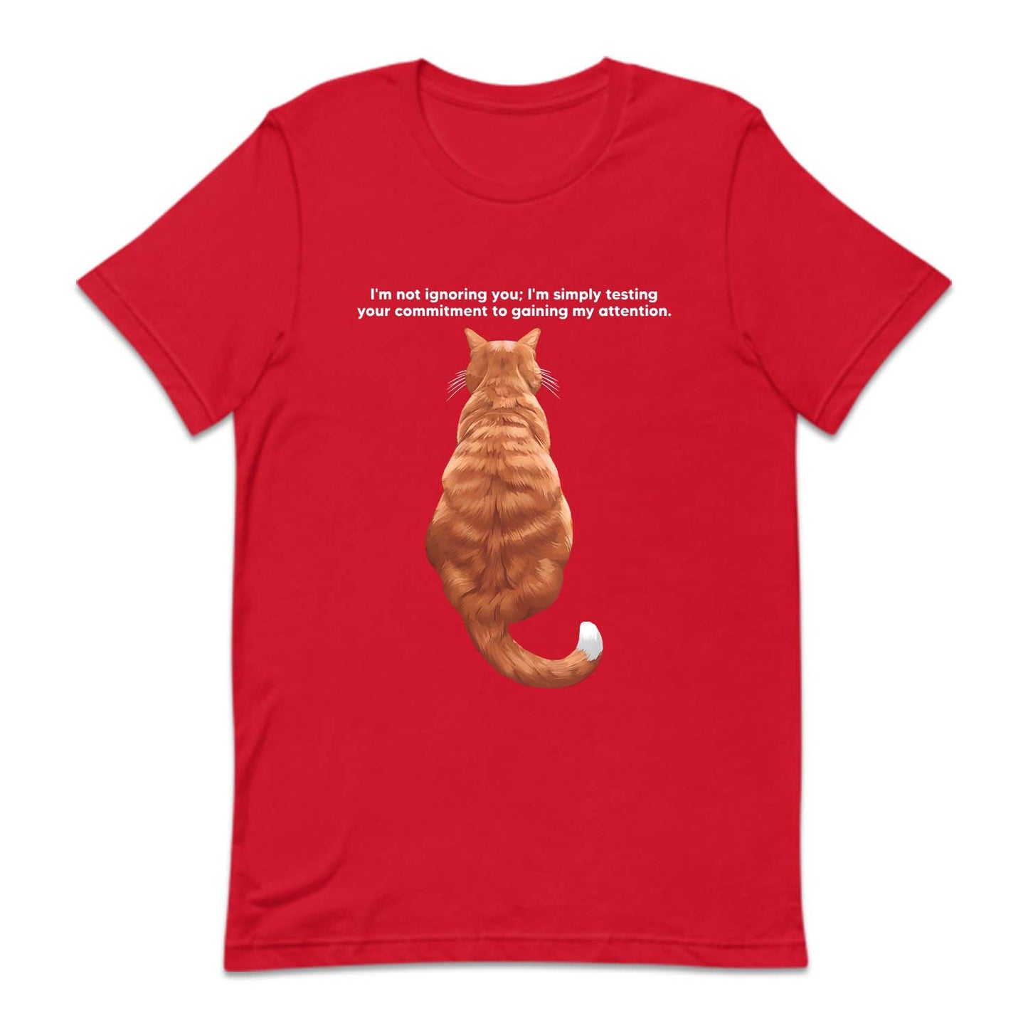 Ginger Cat Sitting Attention Test | PRODUCT CODE: GNCTSANQ