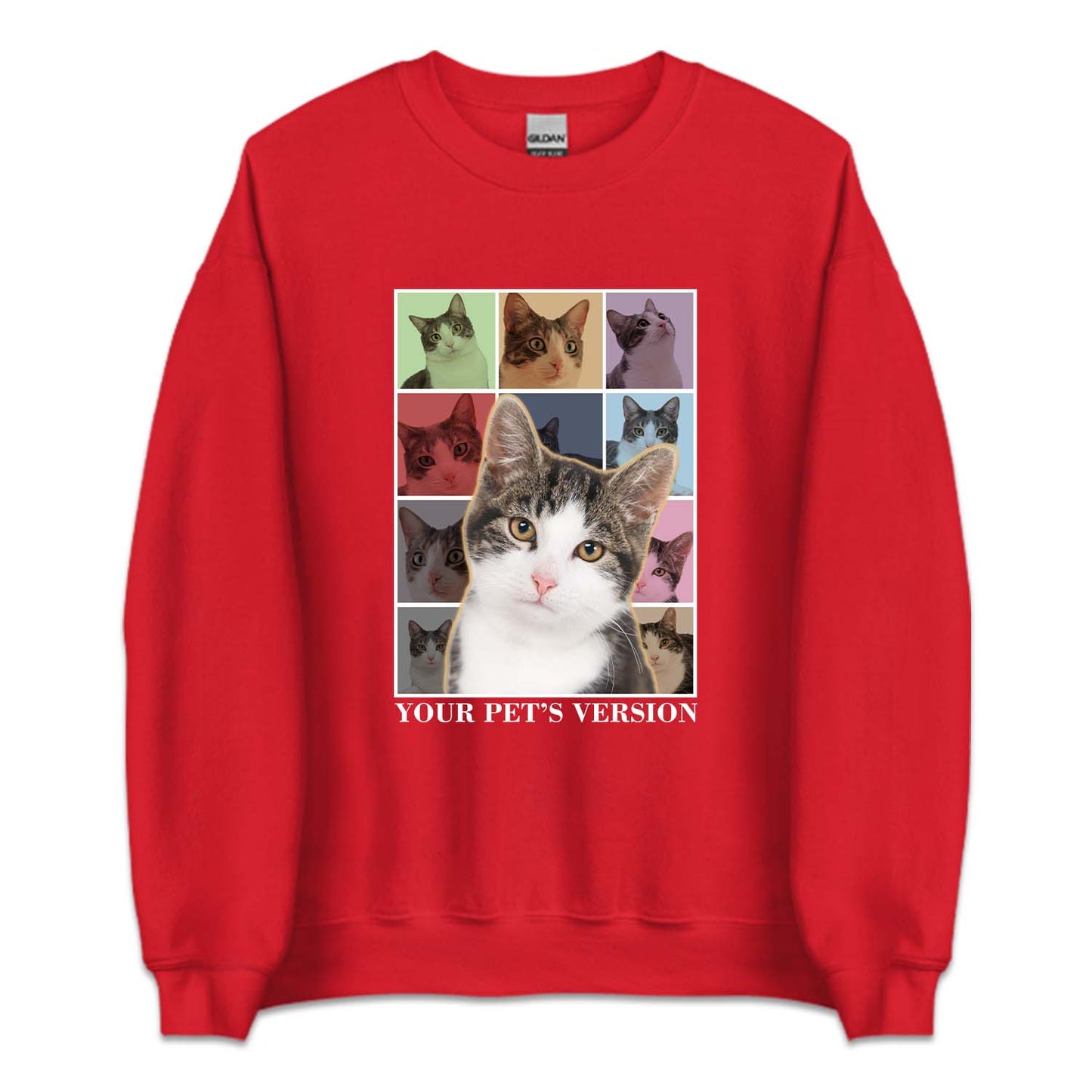 Personalized Pet Cat Era's Tour | PRODUCT CODE: CTVRSWFTY