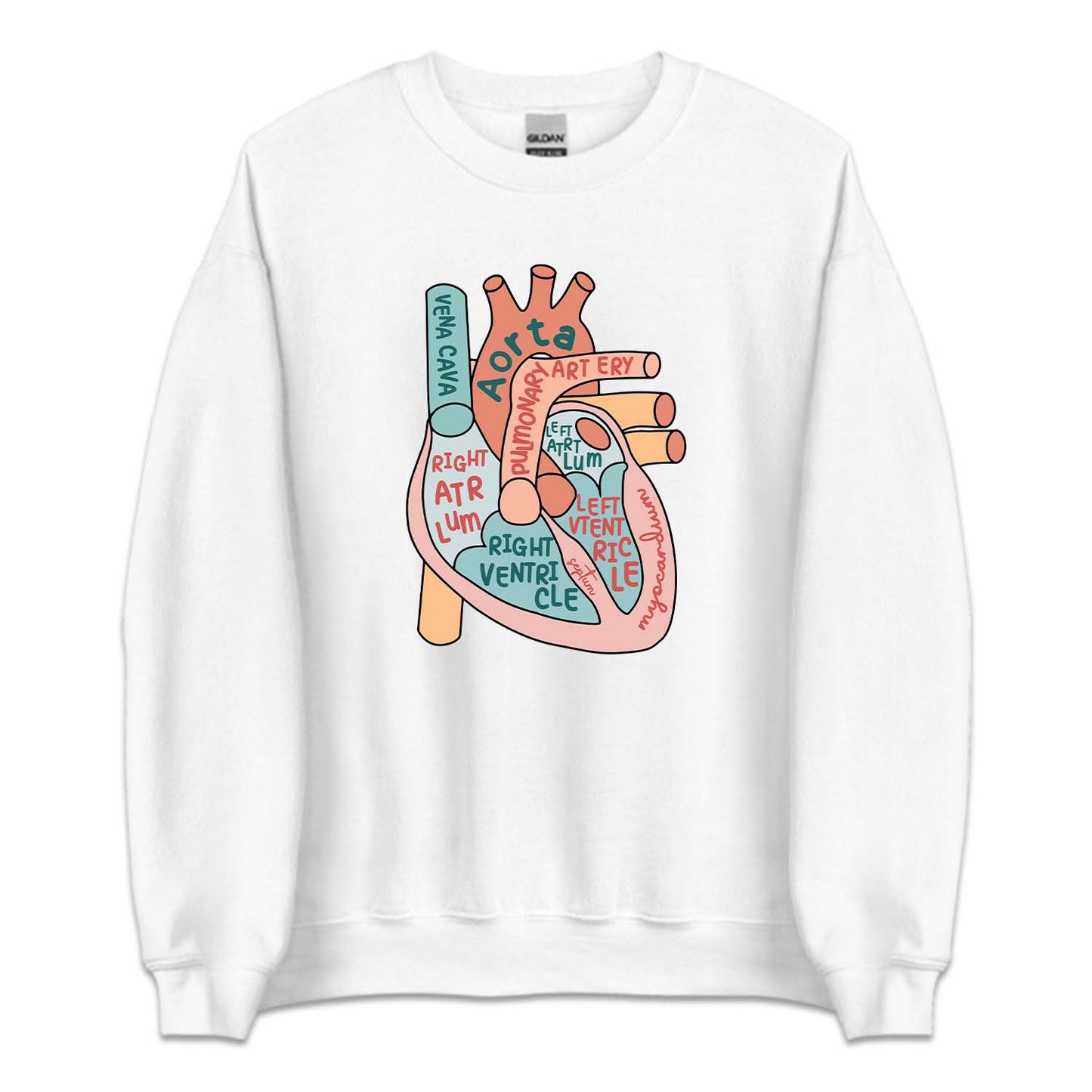 CVICU Cardiac Nurse Heart Flow Anatomy Cardiology Sonographer | PRODUCT CODE: HRTFLWANTY