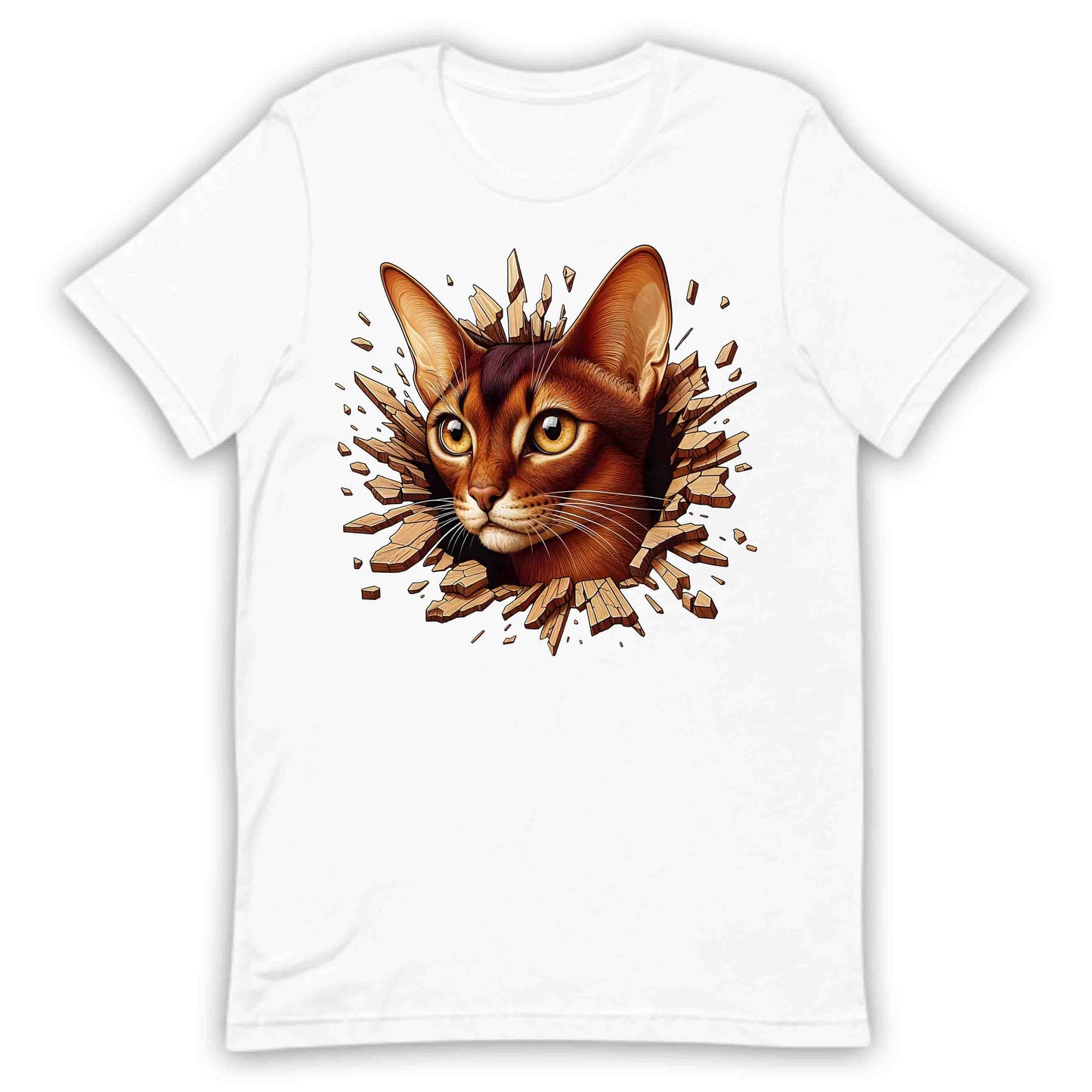 Abyssinian Cat Breaking Through Wall 3D Realistic Cat | PRODUCT CODE: ABSNYCTABRKF