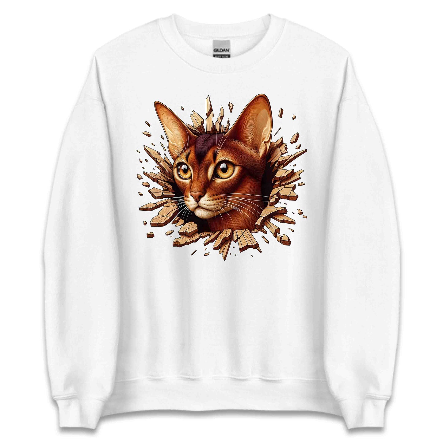 Abyssinian Cat Breaking Through Wall 3D Realistic Cat | PRODUCT CODE: ABSNYCTABRKF