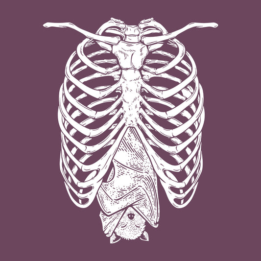 Creepy Cute Bat Ribcage | PRODUCT CODE: BTHMNRBCG