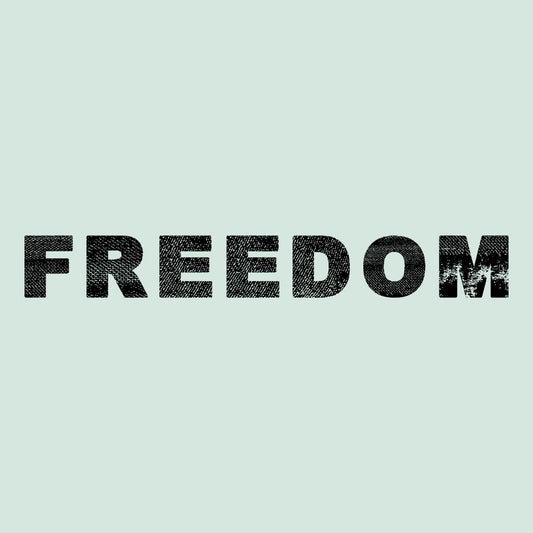 Charlie Kirk Freedom T-Shirt, Justice Sweatshirt, Human Rights Hoodie | PRODUCT CODE: CHJEGHGFR