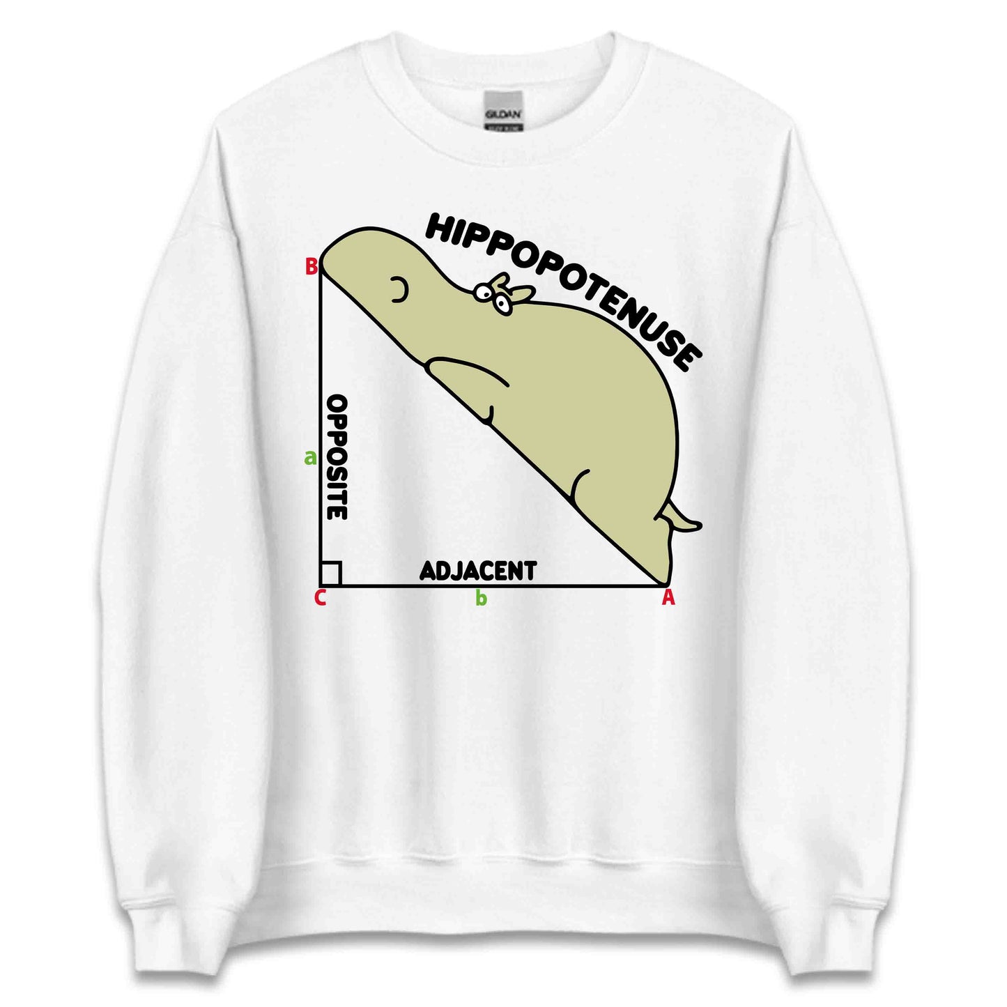 Hippopotenuse Math Pun Funny Geometry Nerdy Pythagorean Theorem Hippo Right Triangle | PRODUCT CODE: HOEWBSIYWA