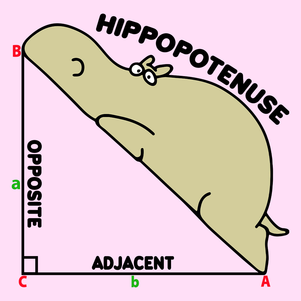 Hippopotenuse Math Pun Funny Geometry Nerdy Pythagorean Theorem Hippo Right Triangle | PRODUCT CODE: HOEWBSIYWA