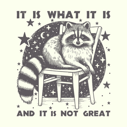 It Is What It Is And Now its Great Raccoon Meme | PRODUCT CODE: IWHTSANWOG