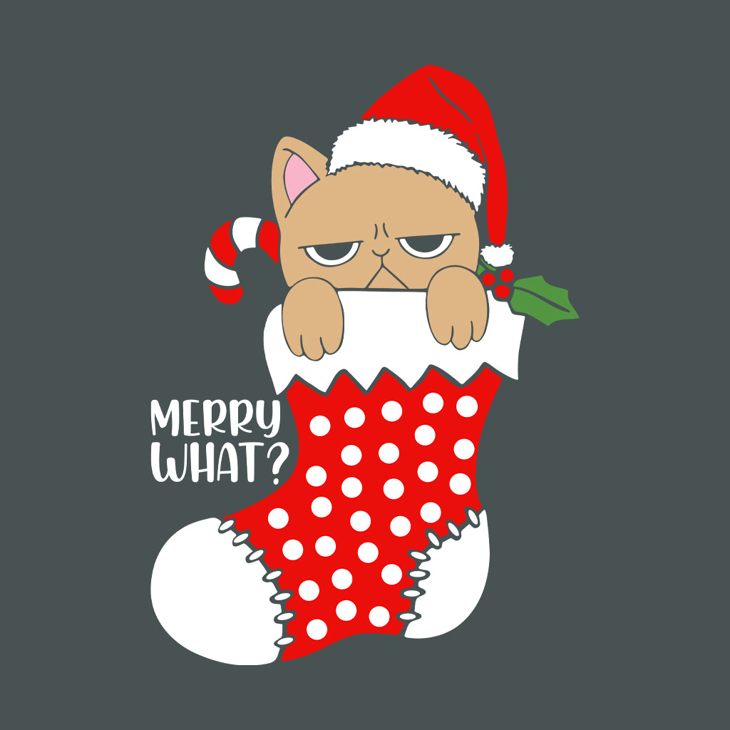 Merry What Grumpy Cat in Stocking Anti Holiday Xmas Cat | PRODUCT CODE: MYRWTGRMSTC