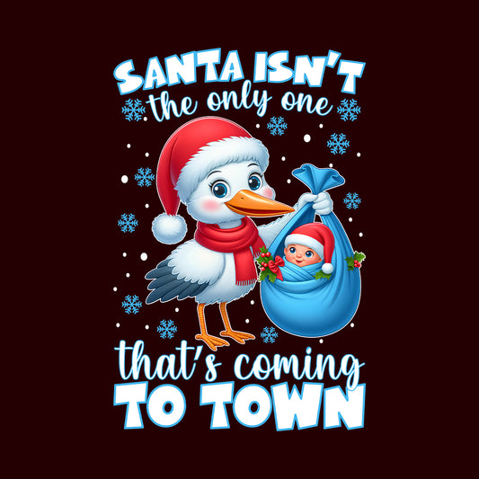 Christmas Stork and Baby Xmas Pregnancy Announcement | PRODUCT CODE: SNTBYPRGNC