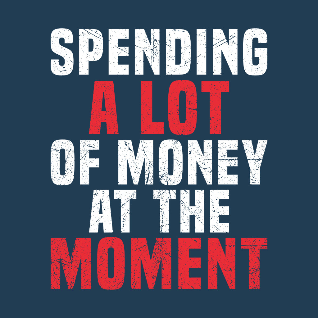 Spending A Lot Of Money At That Moment Taylor Swift Concert | PRODUCT CODE: SPDNGALTFM