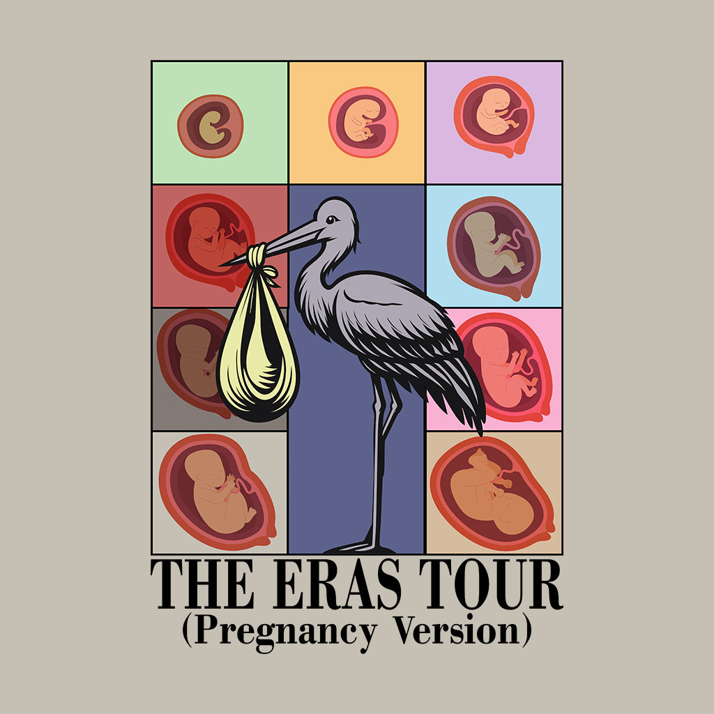 Taylor Inspired Eras Tour Pregnancy Baby Bump To Birth Journey | PRODUCT CODE: TLYSWFPRGM