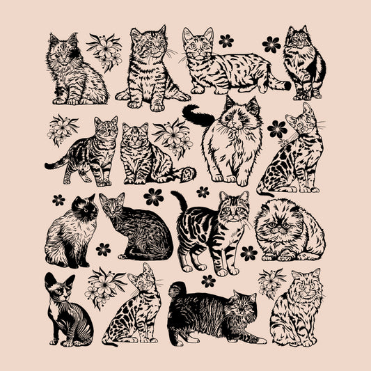 Vintage Cat Breeds Taylor Midnights Cats | PRODUCT CODE: TYLRSWCTABL