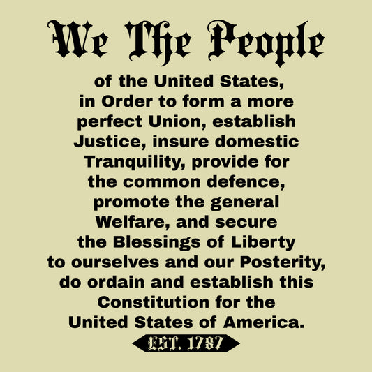 We The People T-Shirt, Patriotic USA Sweatshirt, Freedom & Liberty Hoodie | PRODUCT CODE: WFWDSABVIT