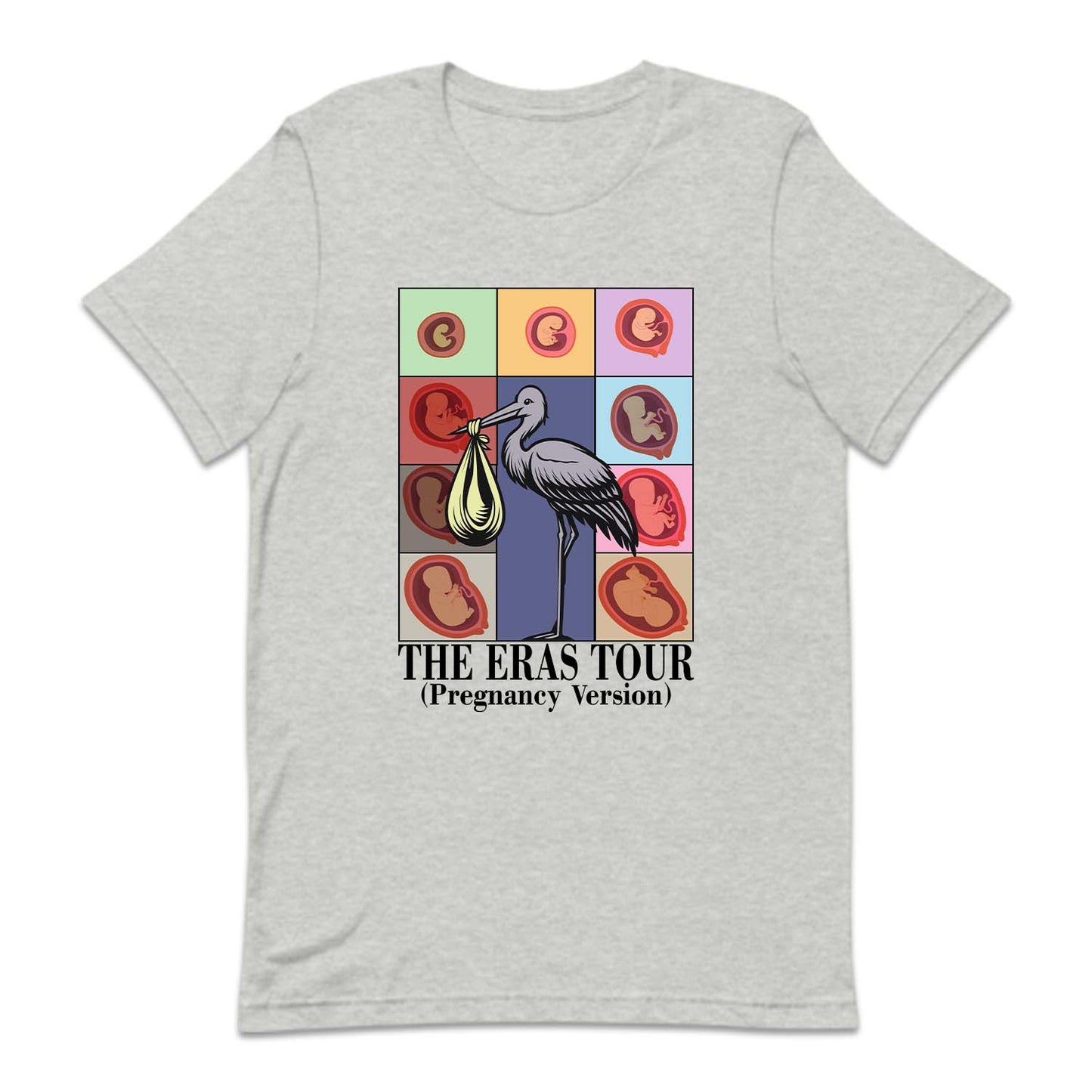 Taylor Inspired Eras Tour Pregnancy Baby Bump To Birth Journey | PRODUCT CODE: TLYSWFPRGM