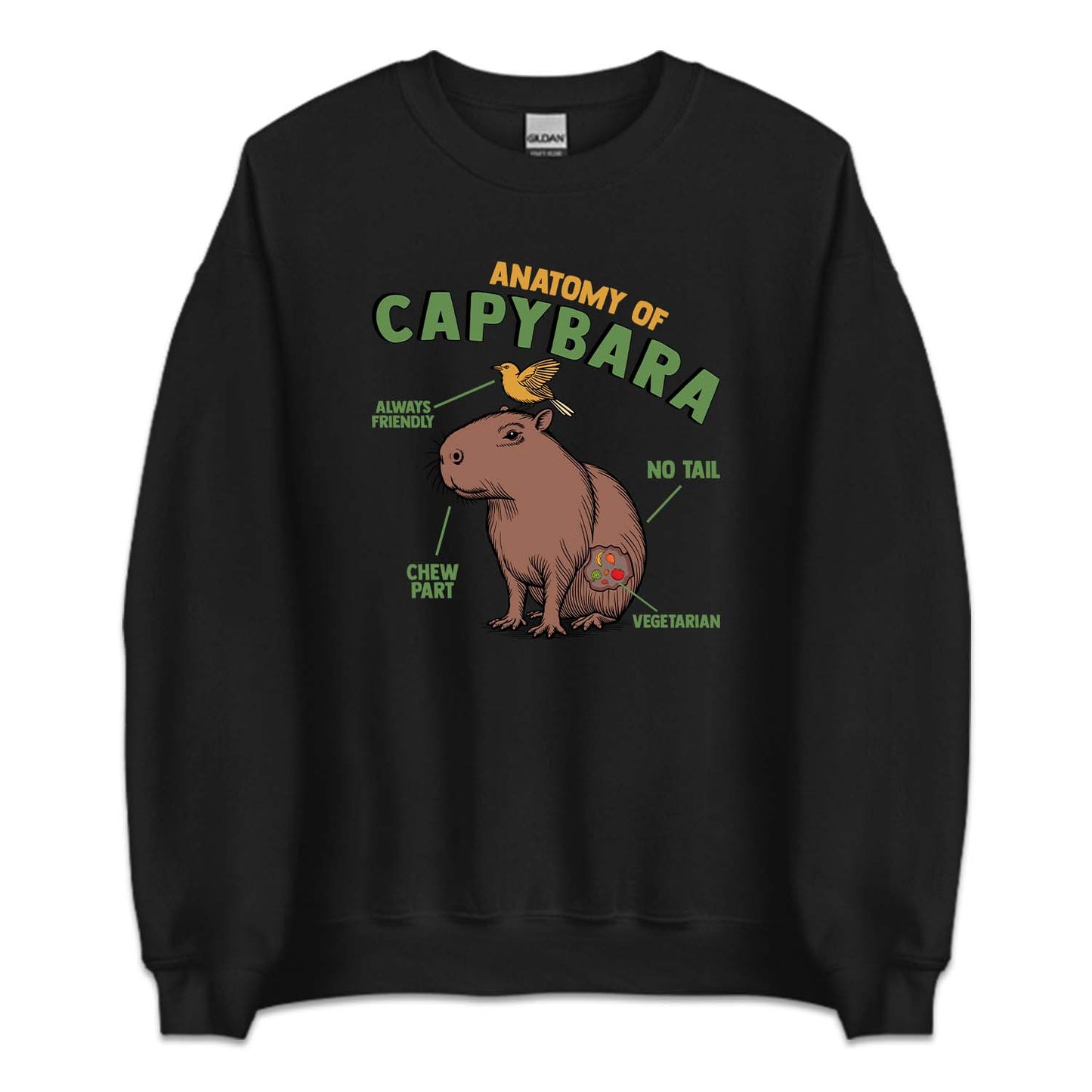 Anatomy Of Capybara Funny Rodent Animal Lover | PRODUCT CODE: ANTMYFCPBR