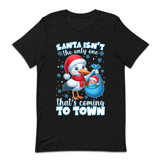 Christmas Stork and Baby Xmas Pregnancy Announcement | PRODUCT CODE: SNTBYPRGNC