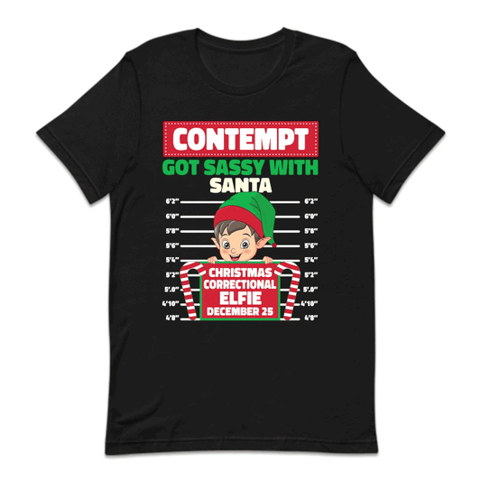 Christmas Correctional Elfie Matching Family Xmas | PRODUCT CODE: ELCHRTNPL