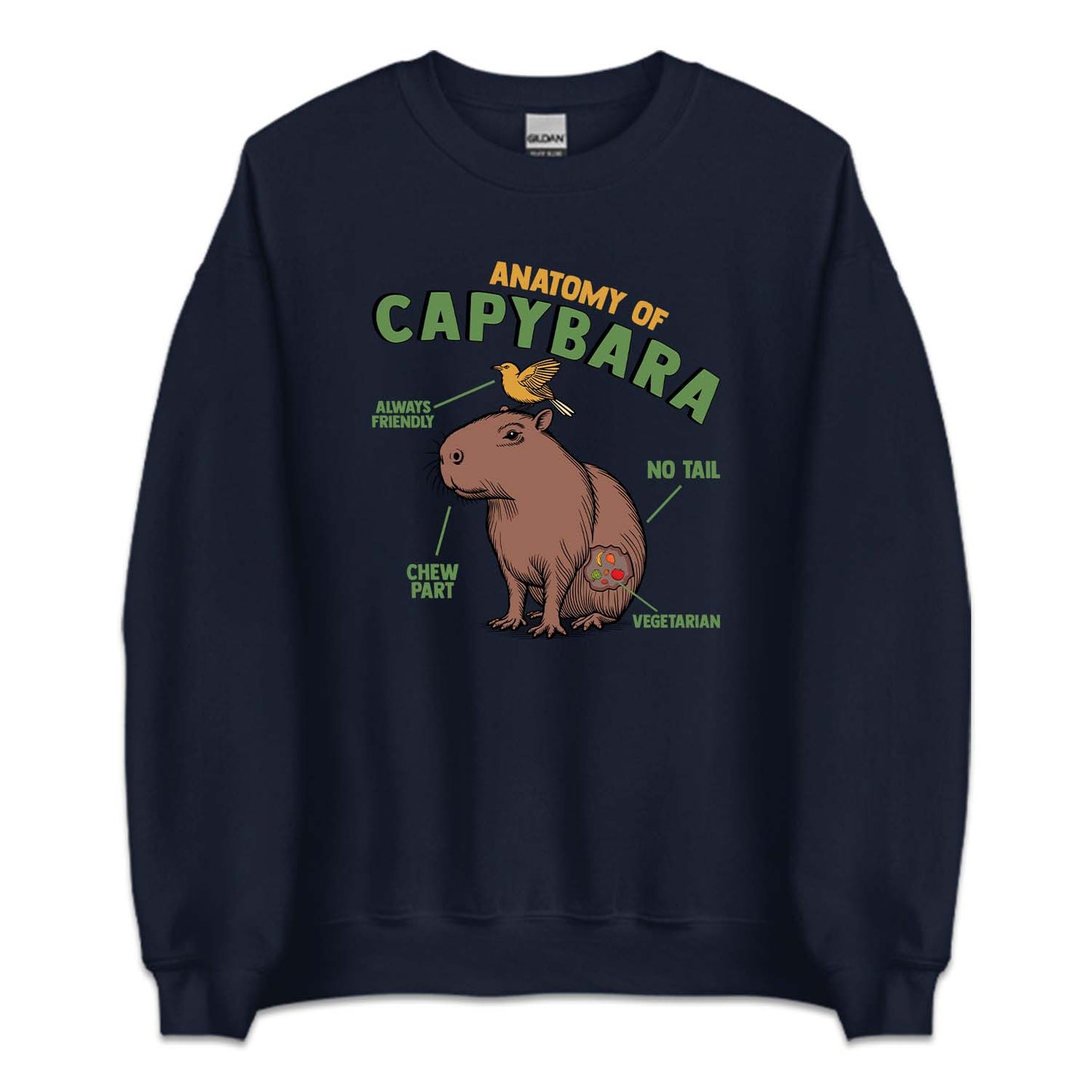 Anatomy Of Capybara Funny Rodent Animal Lover | PRODUCT CODE: ANTMYFCPBR