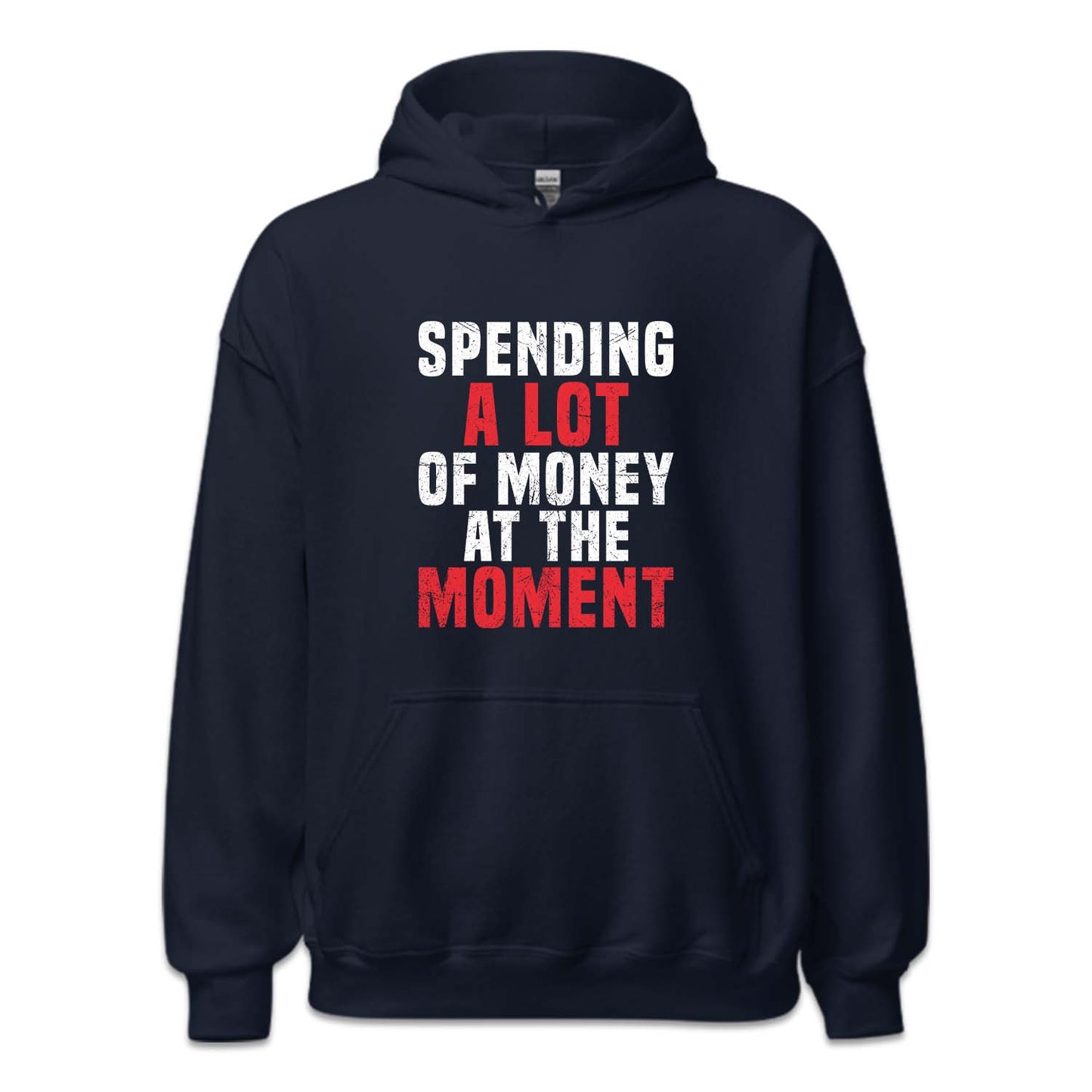 Spending A Lot Of Money At That Moment Taylor Swift Concert | PRODUCT CODE: SPDNGALTFM