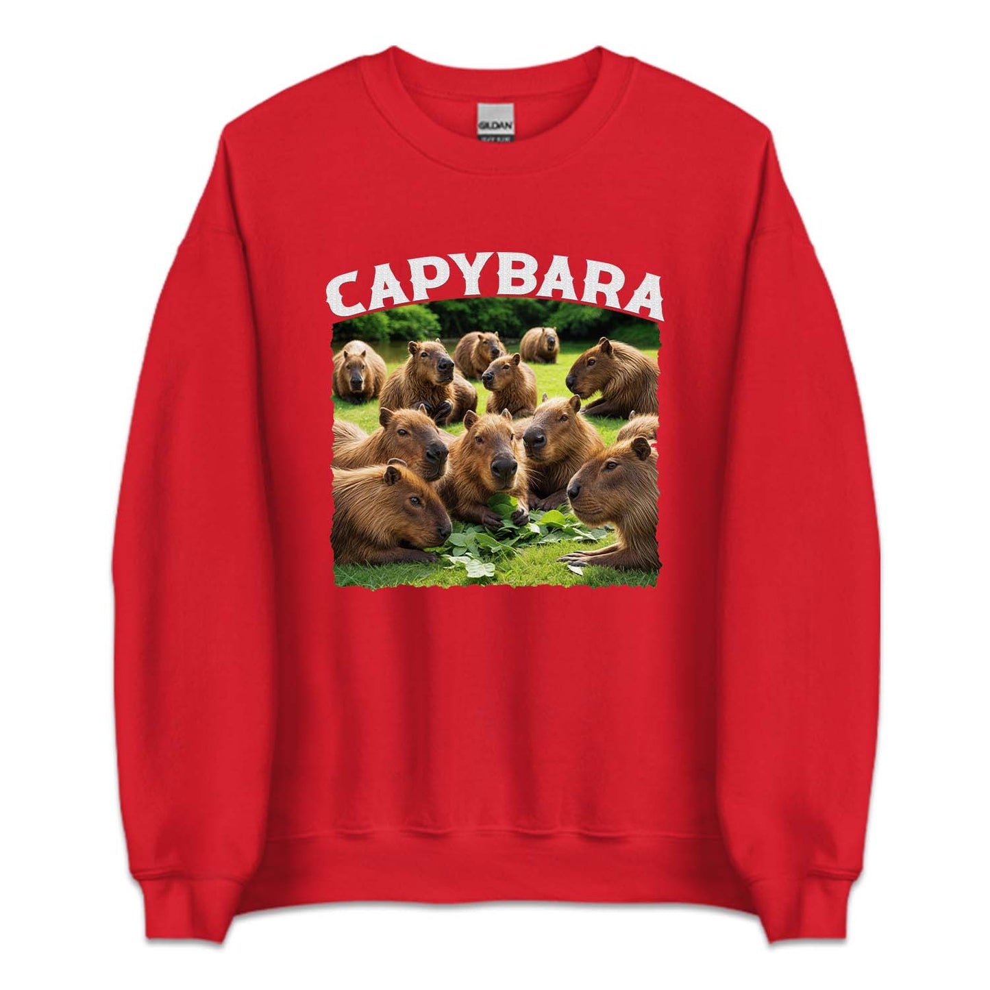 Vintage Cute Capybara Unique Wildlife | PRODUCT CODE: VNTGBRACP