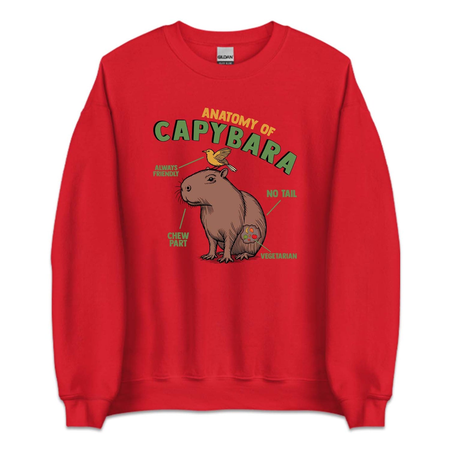 Anatomy Of Capybara Funny Rodent Animal Lover | PRODUCT CODE: ANTMYFCPBR