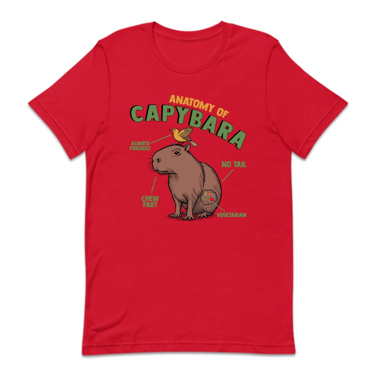 Anatomy Of Capybara Funny Rodent Animal Lover | PRODUCT CODE: ANTMYFCPBR