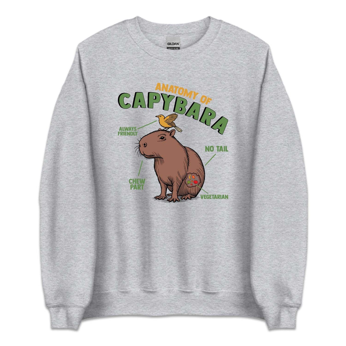 Anatomy Of Capybara Funny Rodent Animal Lover | PRODUCT CODE: ANTMYFCPBR