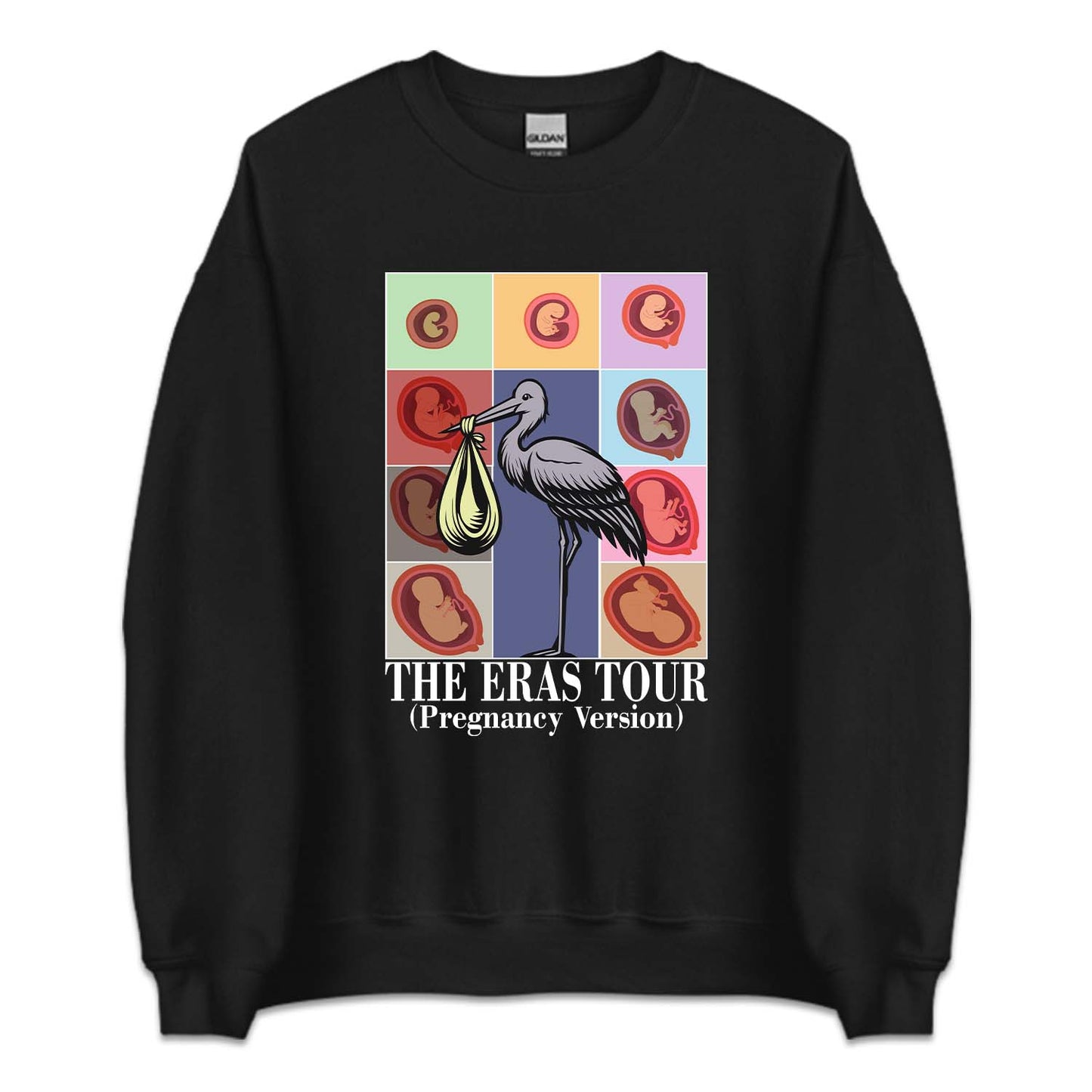 Taylor Inspired Eras Tour Pregnancy Baby Bump To Birth Journey | PRODUCT CODE: TLYSWFPRGM