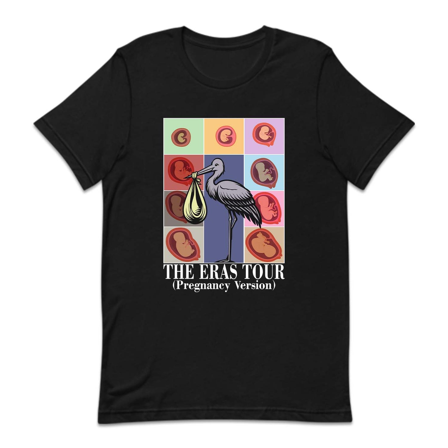 Taylor Inspired Eras Tour Pregnancy Baby Bump To Birth Journey | PRODUCT CODE: TLYSWFPRGM