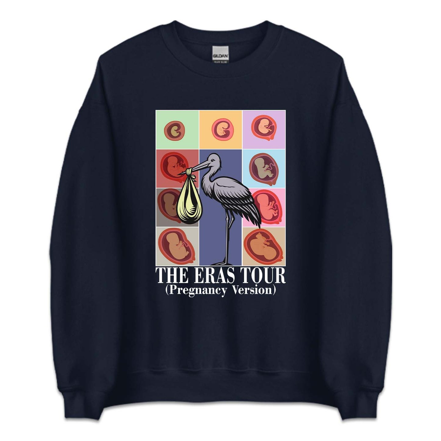 Taylor Inspired Eras Tour Pregnancy Baby Bump To Birth Journey | PRODUCT CODE: TLYSWFPRGM