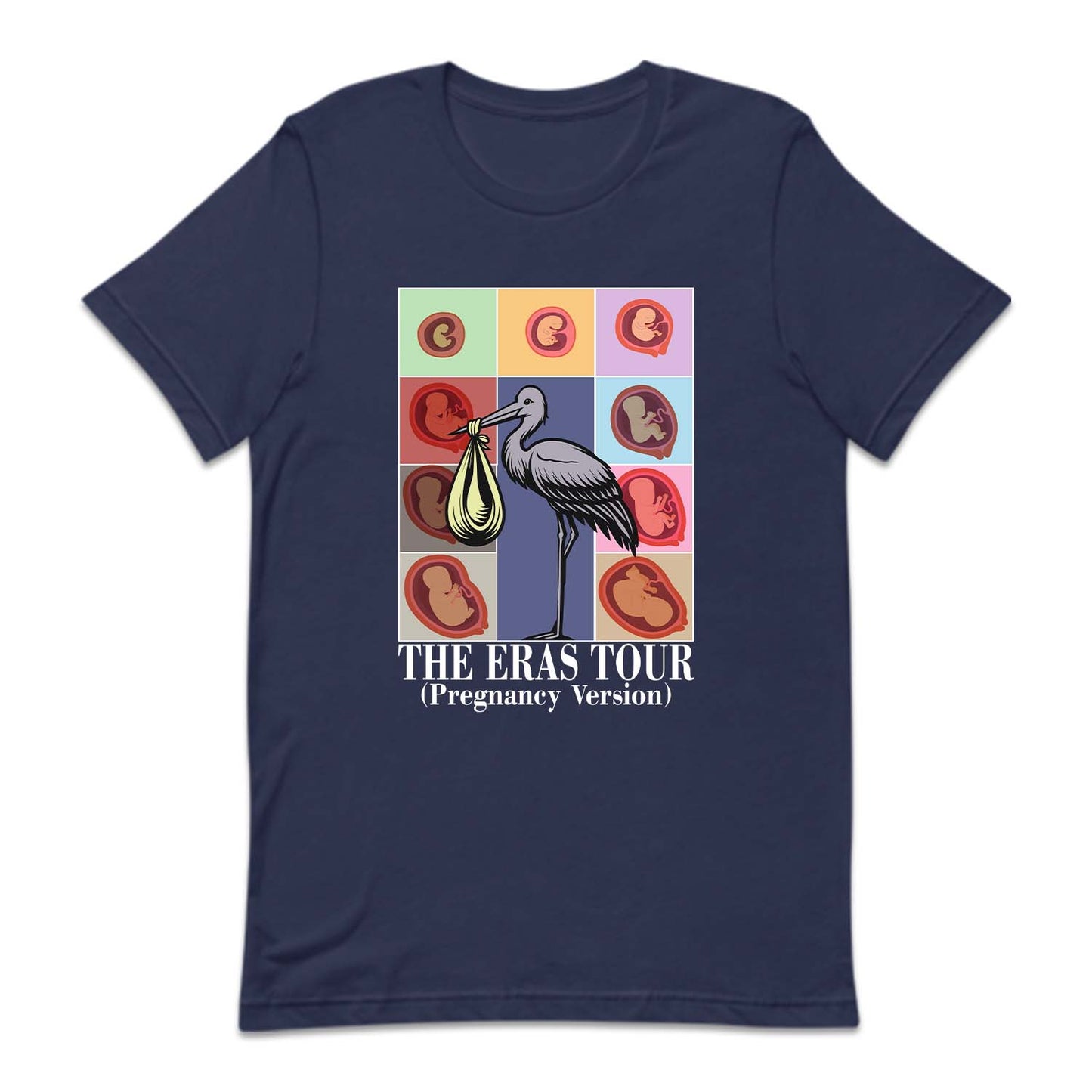 Taylor Inspired Eras Tour Pregnancy Baby Bump To Birth Journey | PRODUCT CODE: TLYSWFPRGM