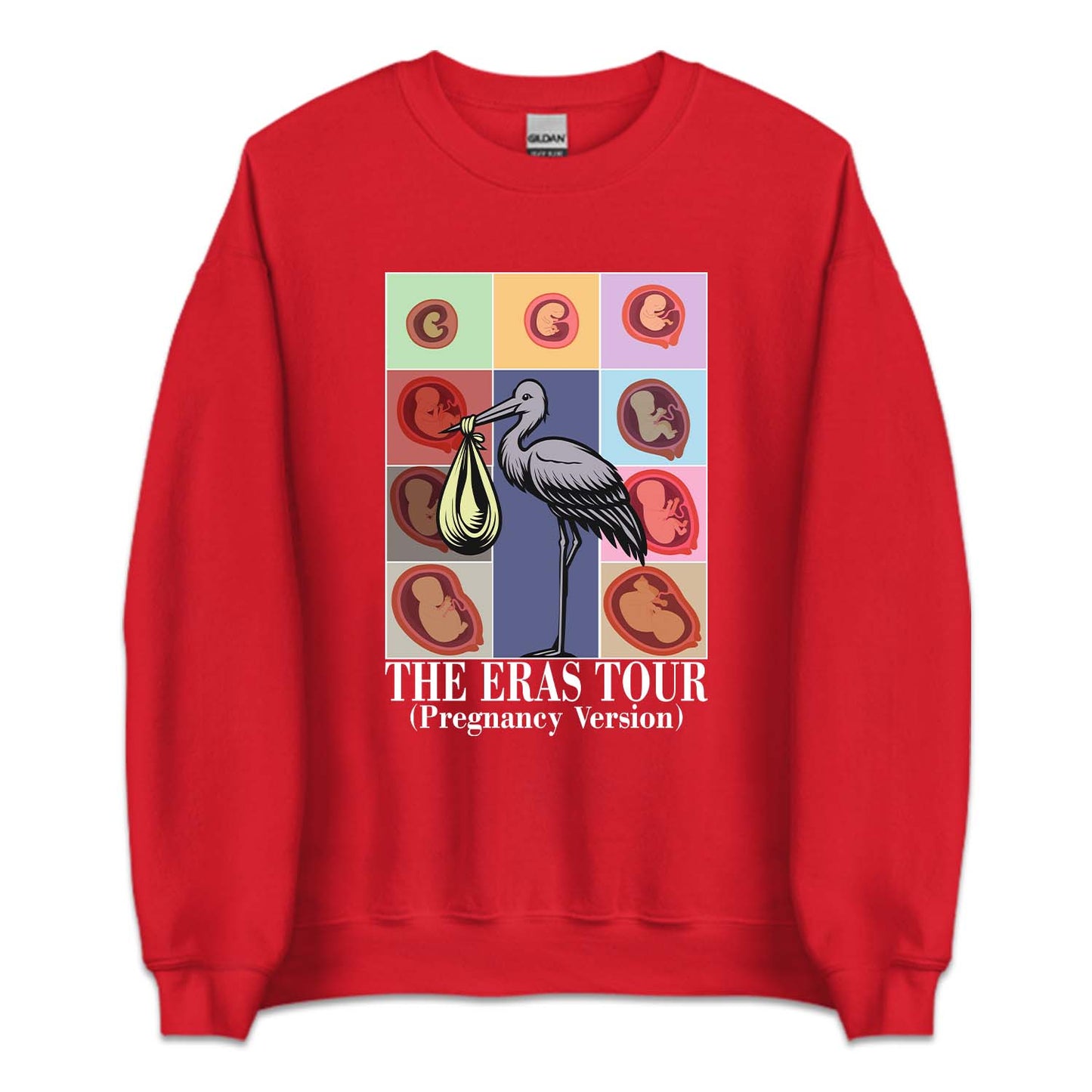 Taylor Inspired Eras Tour Pregnancy Baby Bump To Birth Journey | PRODUCT CODE: TLYSWFPRGM