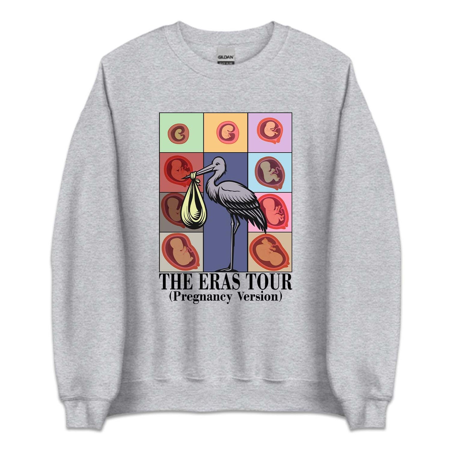 Taylor Inspired Eras Tour Pregnancy Baby Bump To Birth Journey | PRODUCT CODE: TLYSWFPRGM